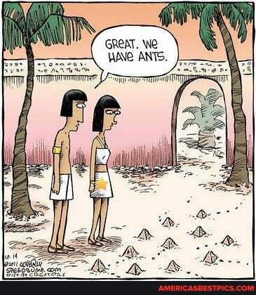 GREAT. We
WAVe ANTS.