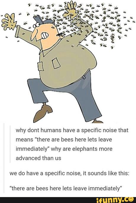 Why dont humans have a speciﬁc noise that means ”mere are bees here ...