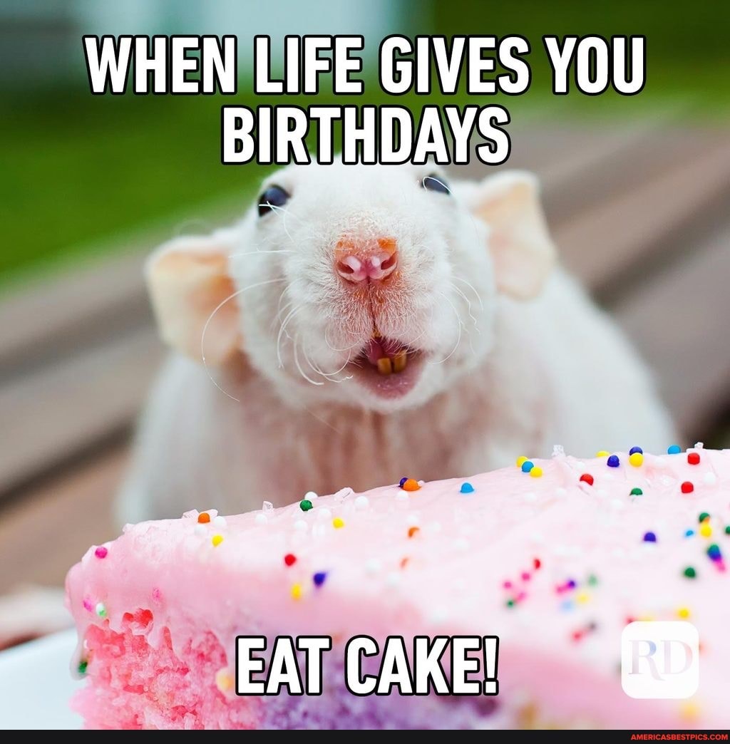 1163 15 Birthday Cake Images Stock Photos  Vectors  Shutterstock