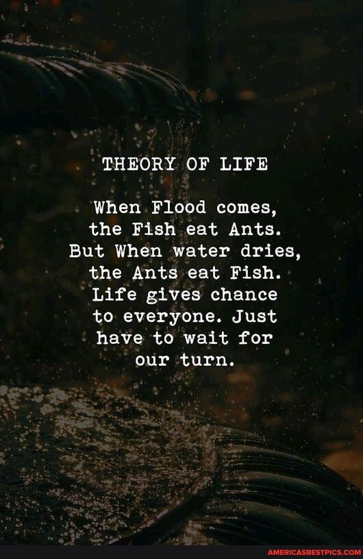 THEORY OF LIFE
When. Flood comes, the Fish eat Ants.
But When water dries, the Ants eat Fish.
Life gives chance to everyone. Just have to wait for our turn.