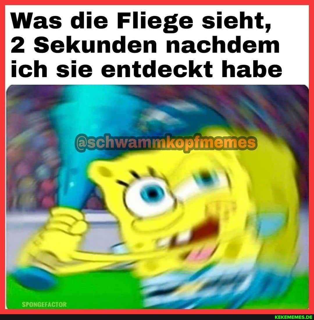 Was die Fliege sieht,
2 Sekunden nachdem ich sie entdeckt habe