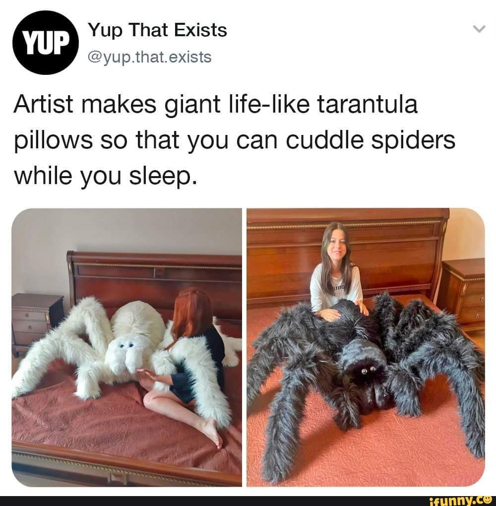 Artist makes giant lifelike tarantula pillows so that you can cuddle