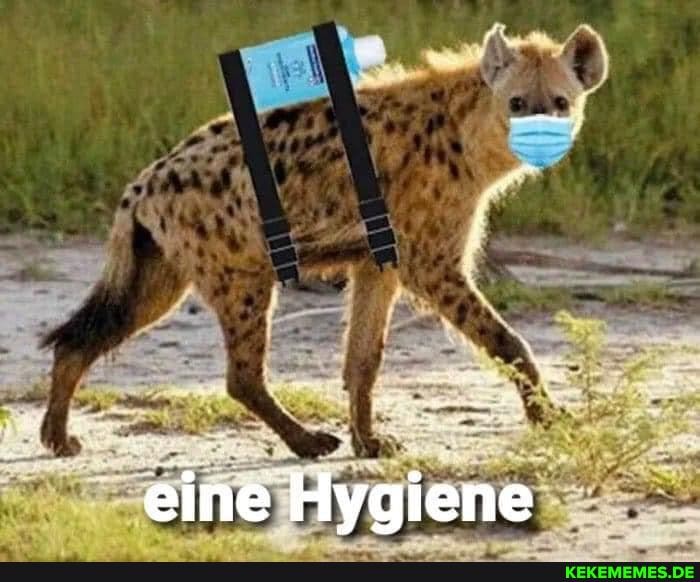 eine Hygiene