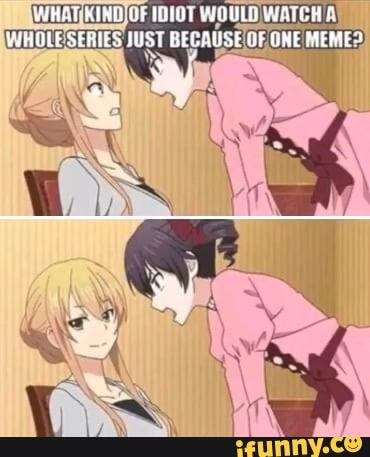 IWHAT[KIND) OF IDIOT WOULD WATCH A
RIES JUST BECAUSE (OF
ONE! MEMES