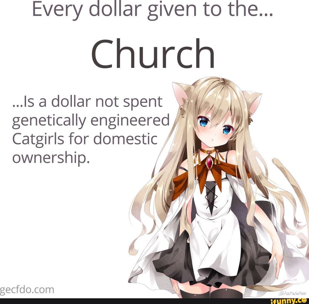 Every dollar spent fluoridating the water is another dollar not spent on  genetically enginyaring catgirls for domestic ownership - Imgur