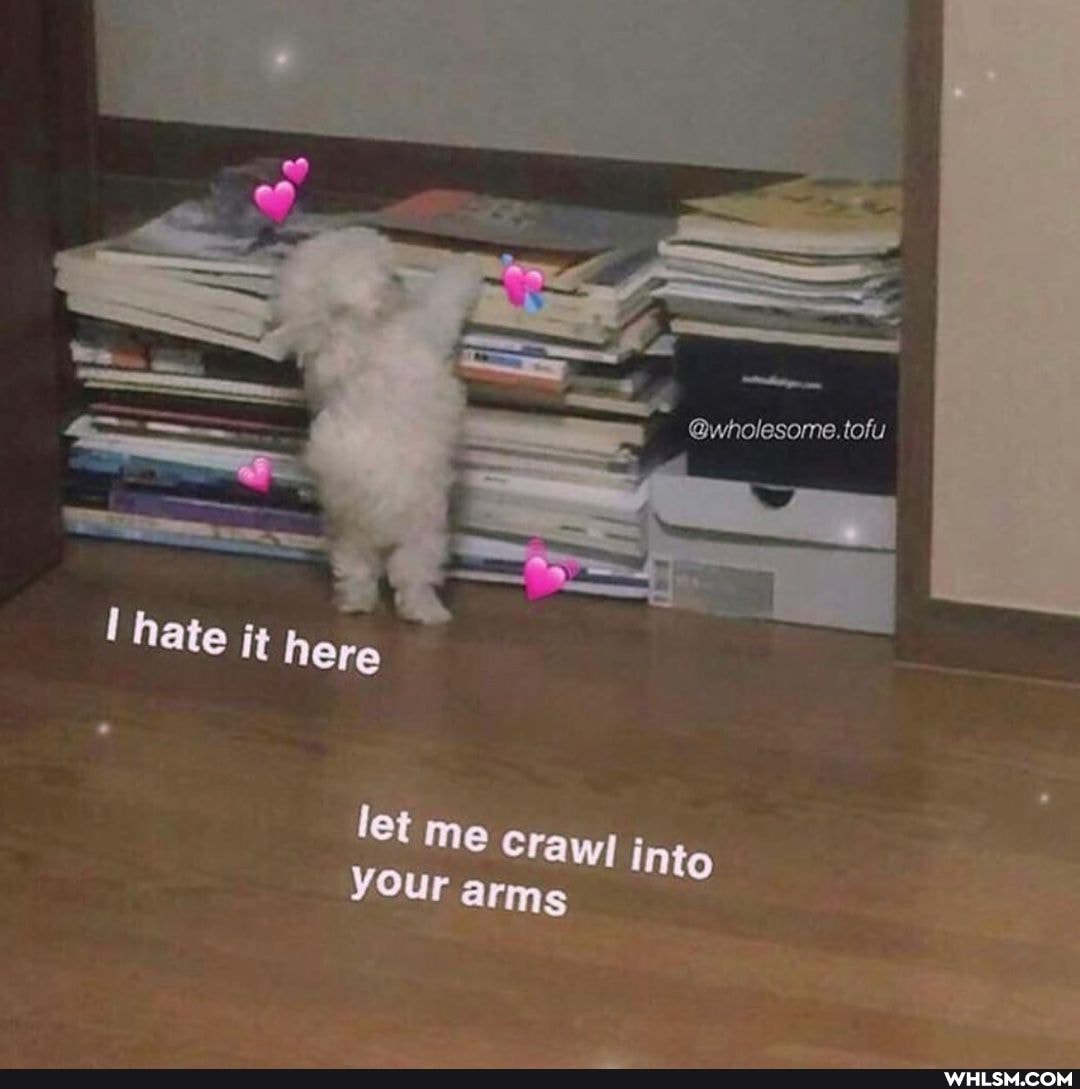 hate here
let me Crawl into
YOur arms