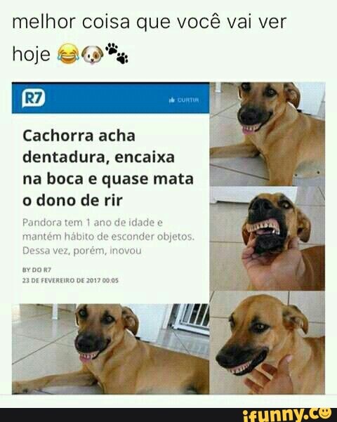 melhor coisa que você vai ver
hoje 639%
Cachorra acha
dentadura, encaixa
na boca e quase mata
o dono de rir
Pand a tem idade e
mantém hábito de
esconder objeto:
Dessa vez, porém, inovou
sroom