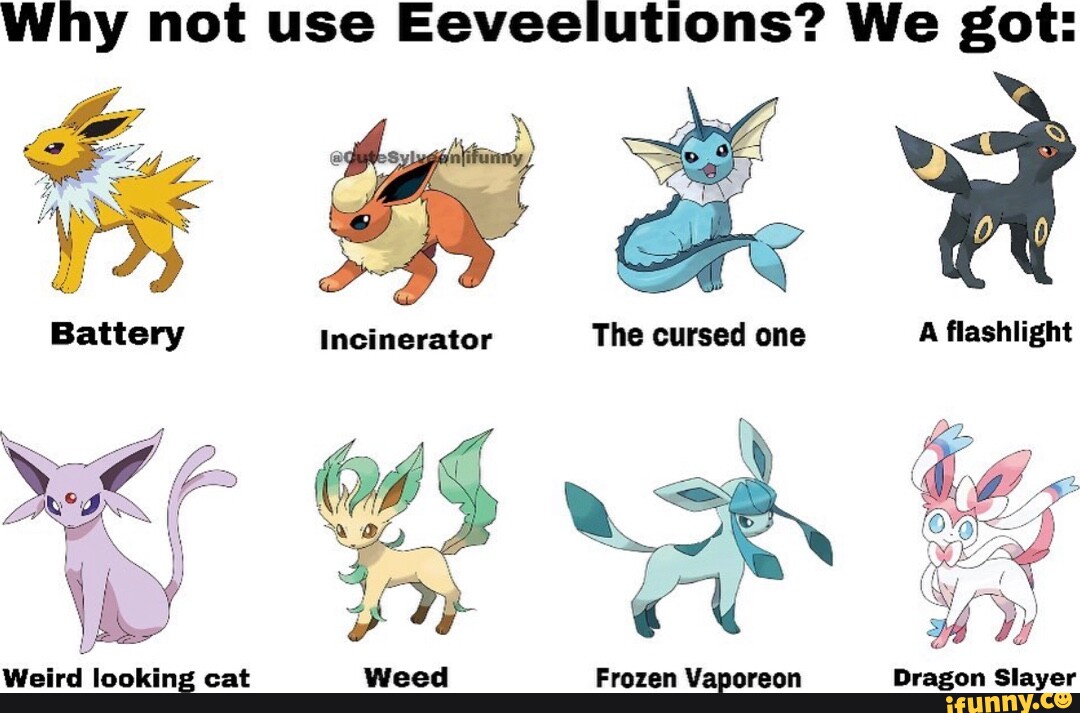 are eeveelutions types cats or dogs