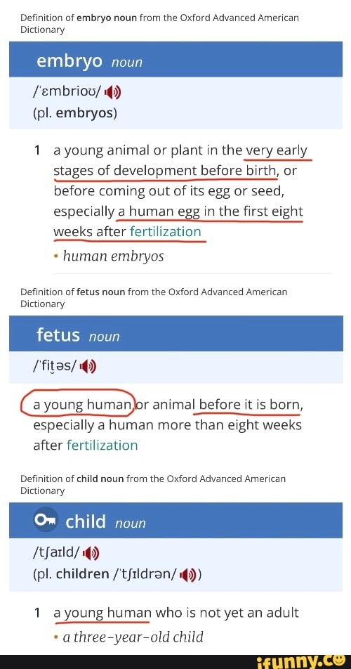 definition-of-embryo-noun-from-the-oxford-advanced-american-dictionary