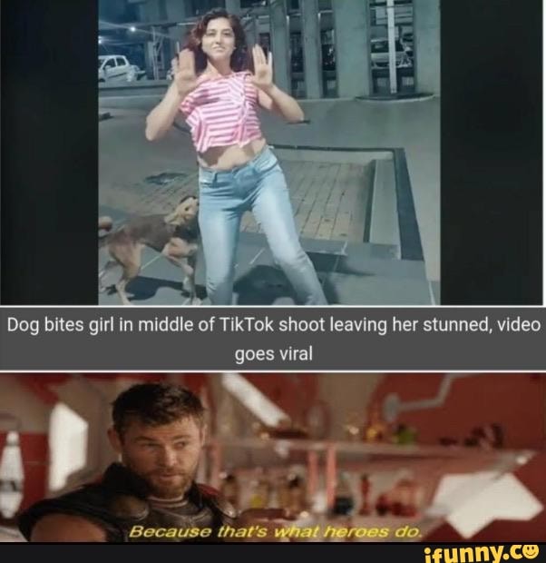 Dog bites girl in middle of TikTok shoot leaving her stunned, video
goes viral