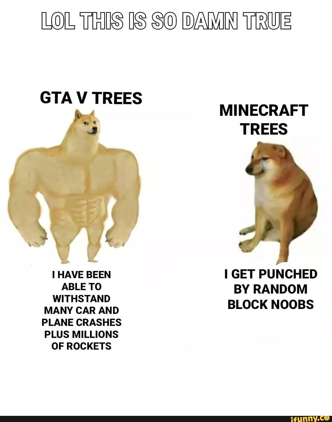 LOL This IS SO DAMN TRUE
PLANE CRASHES
PLUS MILLIONS