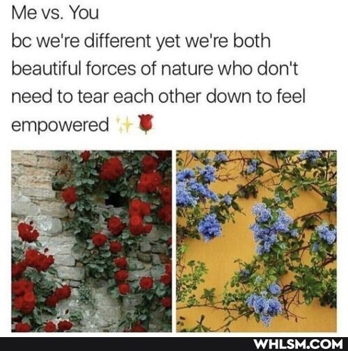 Me vs. You be we're different yet we're both beautiful forces of nature who don't
need to tear each other down to feel empowered