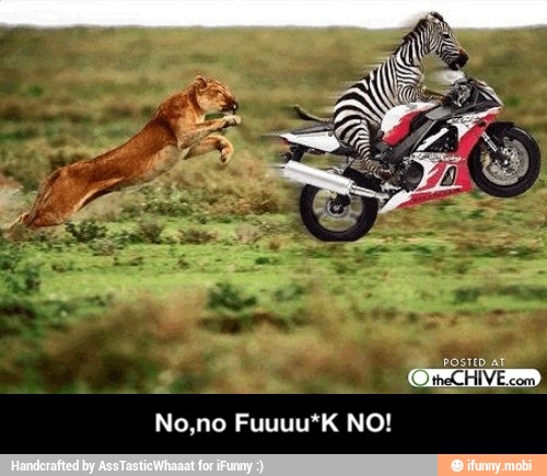 No,no Fuuuu*K NO!