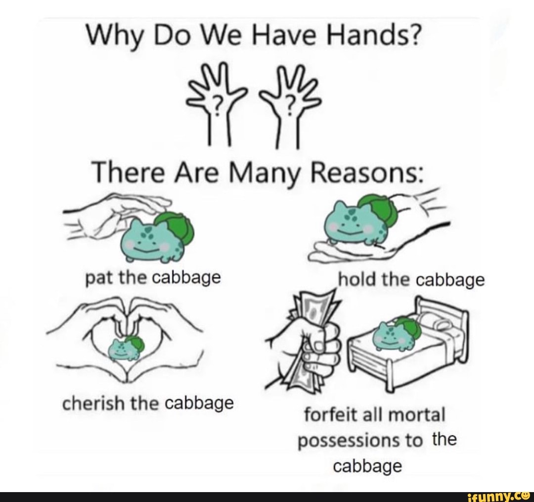 why-do-we-have-hands-there-are-many-reasons-pat-the-cabbage-hold-the