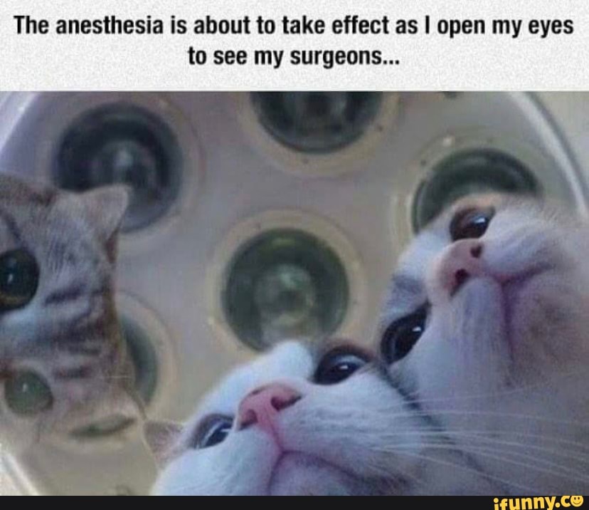 Anesthesia memes. Best Collection of funny Anesthesia pictures on iFunny  Brazil