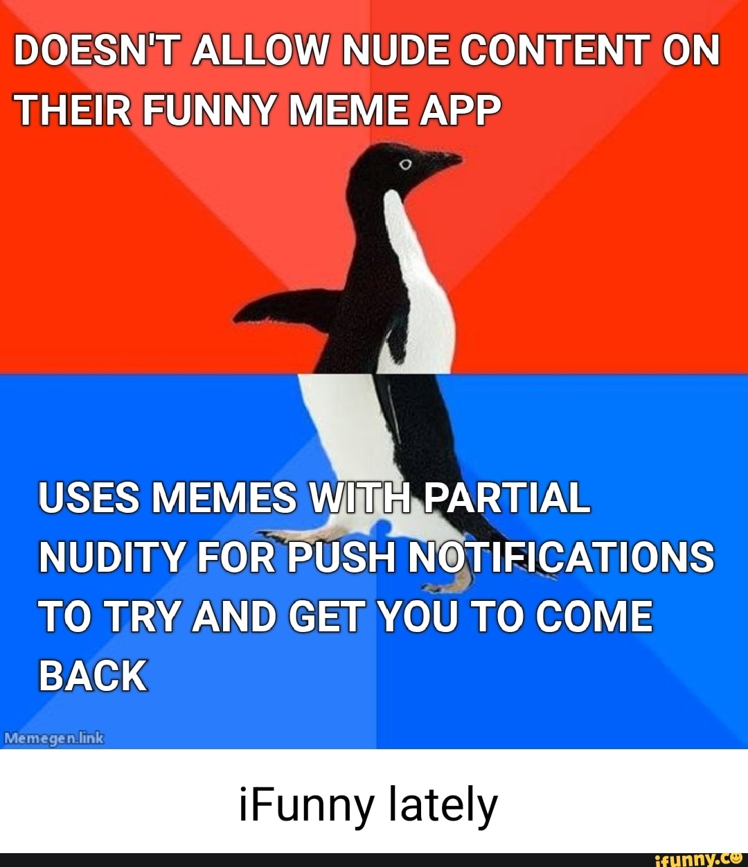 Nudity Meme