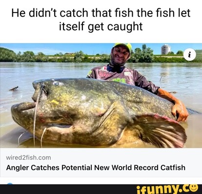 The Biggest Catfish Ever Caught - Wired2Fish