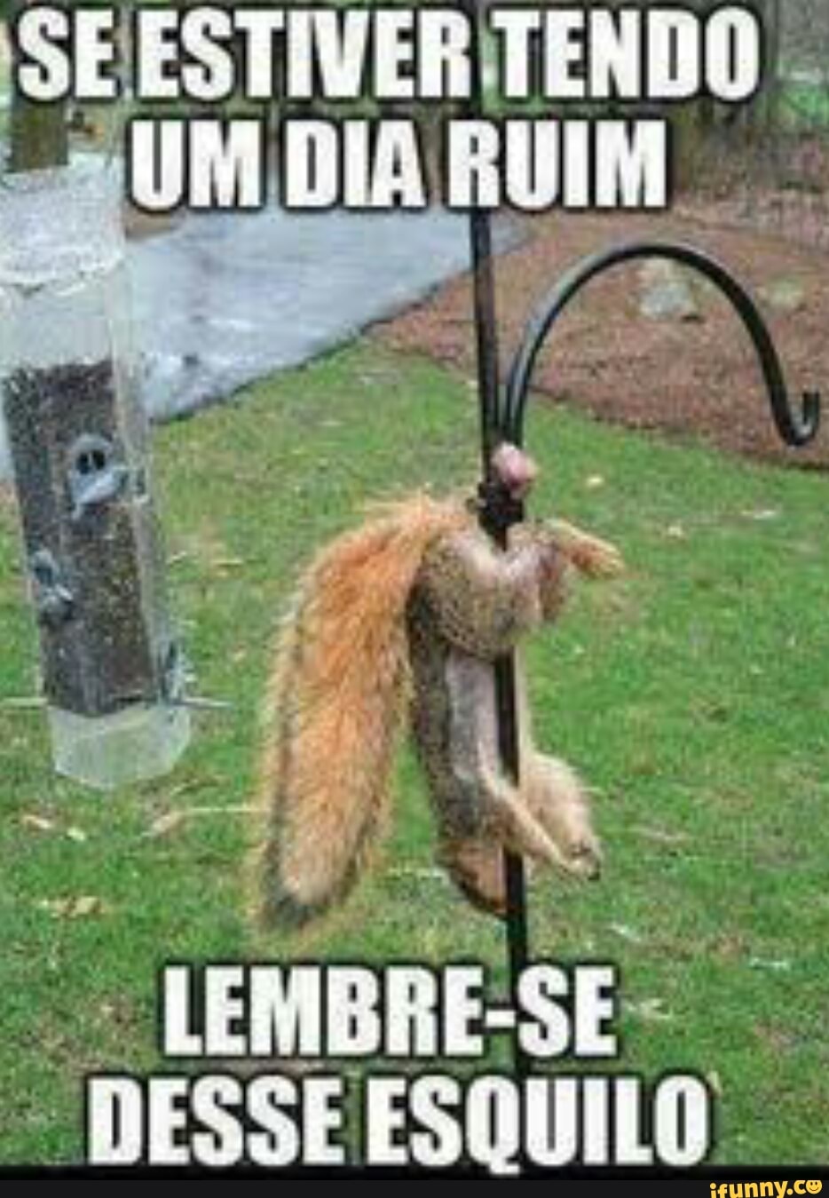 à LEMBRE: SE
DESSE ESQUILO