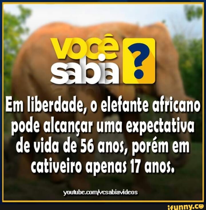 i
alcançar uma
emo
de vida de 56 anos, porém em
cativeiro apenas 17 anos,