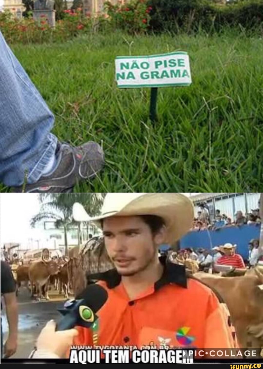 E
NÃO PISE
RENA GRAM/