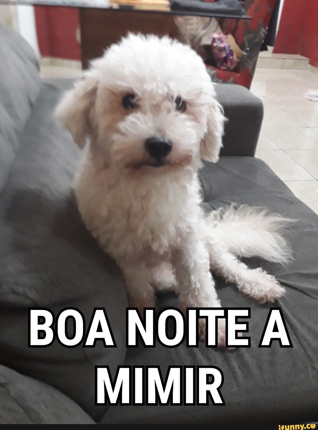 BOA NOITE A MIMIR