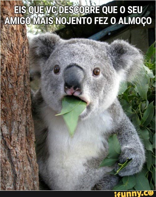 NTO FEZ O ALMOÇO