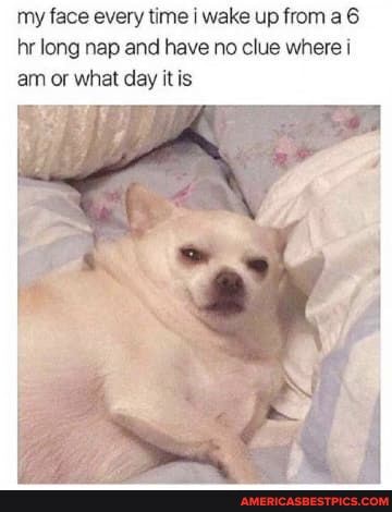 my face every time i wake up from a 6 hr long nap and have no clue where i am or what day itis