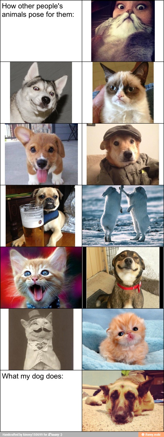 How other people's
animals pose for them: