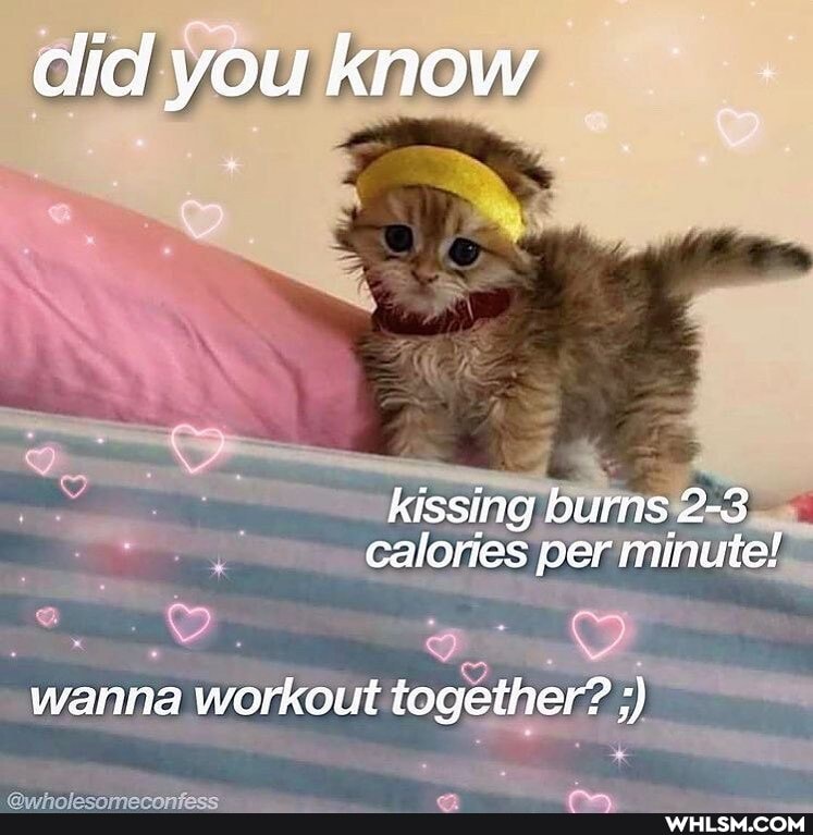 did you know
kissing burns 2-3 calories per minute!
wanna workout together?