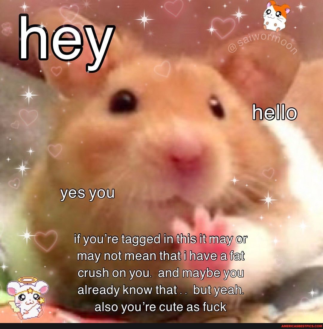 hey
yes you
helle
if you're tagged in this it may OF may not mean that have a fat crush on you. and maybe you
already know that.. but yeah also you're cute as fuck
