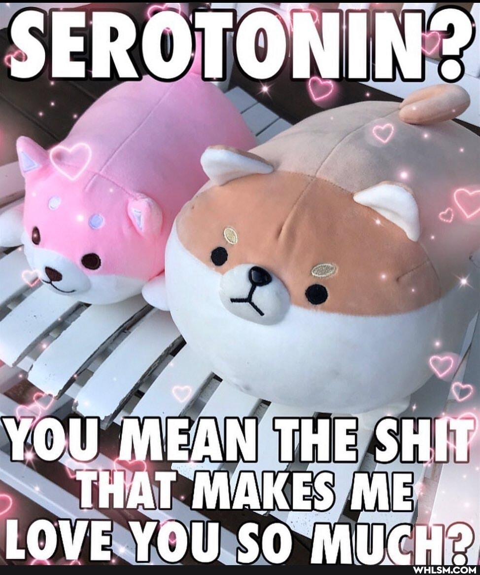 SEROTONIN?
YOU MEAN THE SHIT THAT MAKES ME.
IOVE VOL