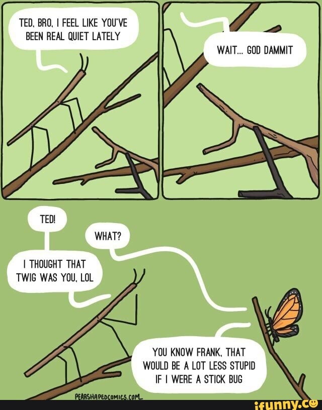 TED, BRO, I FEEL LIKE YOU'VE BEEN REAL QUIET LATELY
WAIT... GOD DAMMIT
TED!
WHAT?
I THOUGHT THAT TWIG WAS YOU, LOL
AS
YOU KNOW FRANK, THAT WOULD BE A LOT LESS STUPID IF I WERE A STICK BUG