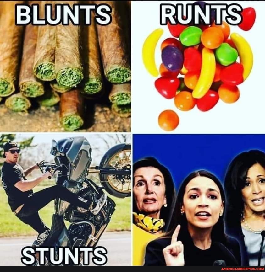 BLUNTS
STUNTS I