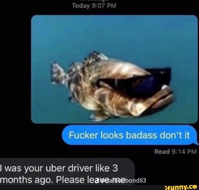 Fucking A Fish