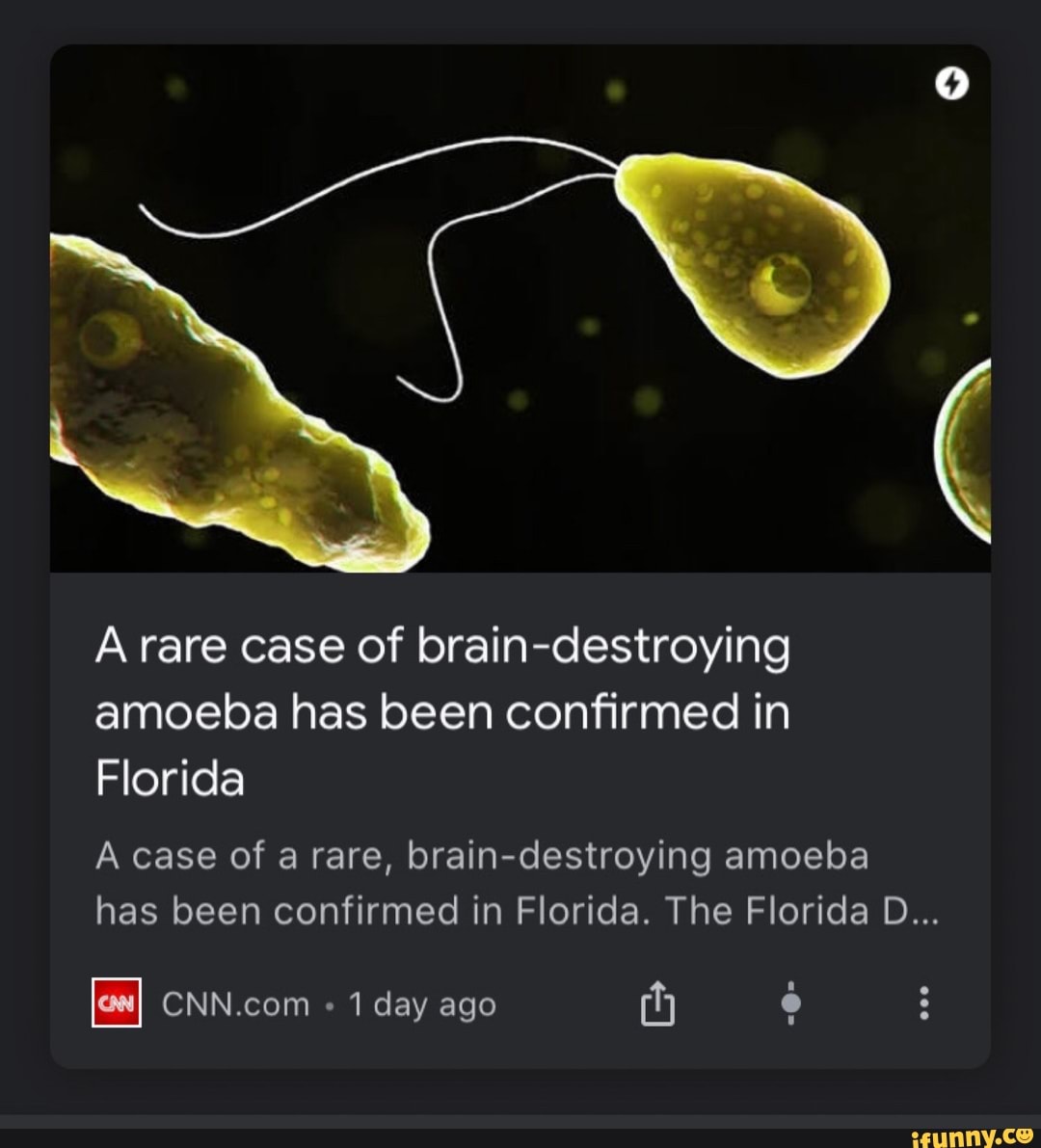 A rare case of braindestroying amoeba has been confirmed in Florida A