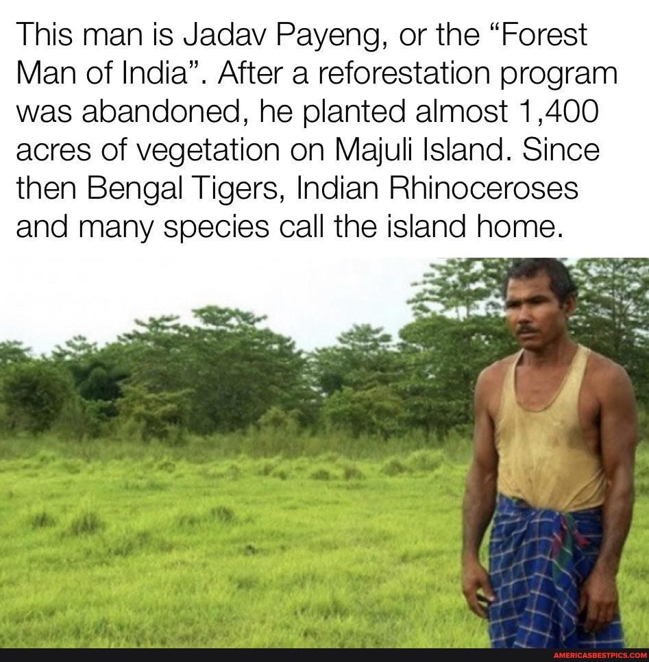 This man is Jadav Payeng, or the "Forest
Man of India". After a reforestation program was abandoned, he planted almost 1,400 acres of vegetation on Majuli Island. Since then Bengal Tigers, Indian Rhinoceroses and many species call the island home.