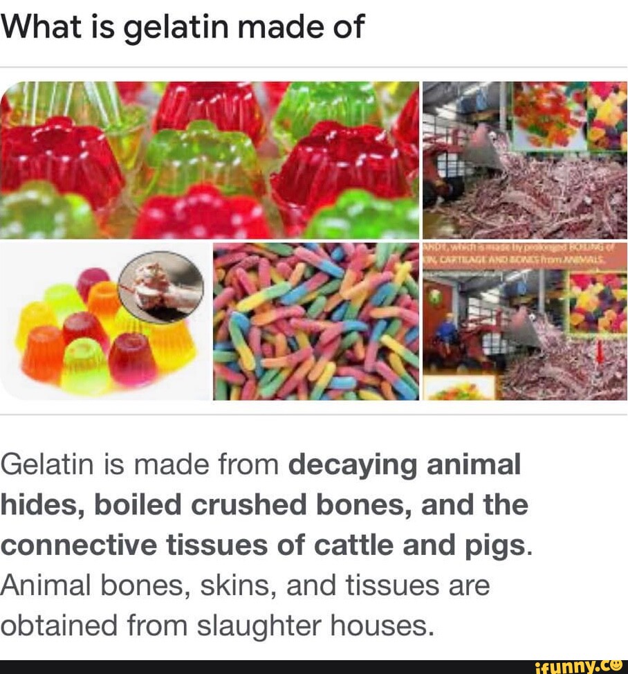 Picture memes wbtwcVl7A by SlimFresh69 314 comments )