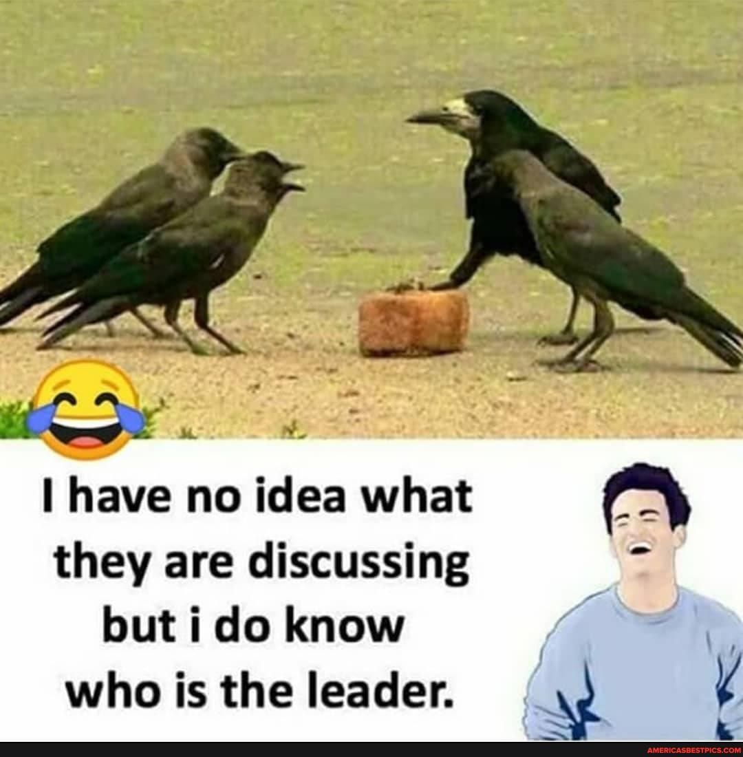 have no idea what they are discussing but do know who is the leader.