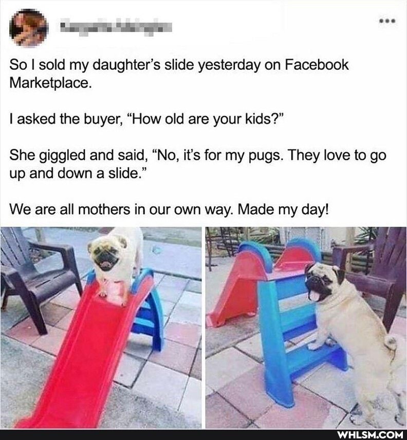 So I sold my daughter's slide yesterday on Facebook
Marketplace.
asked the buyer, "How old are your kids?"
She giggled and said, "No, it's for my pugs. They love to go up and down a slide."
We are all mothers in our own way. Made my day!