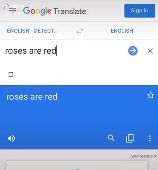 E "= Google Translate ENGLISH DETECT... Pg ENGLISH roses are red )