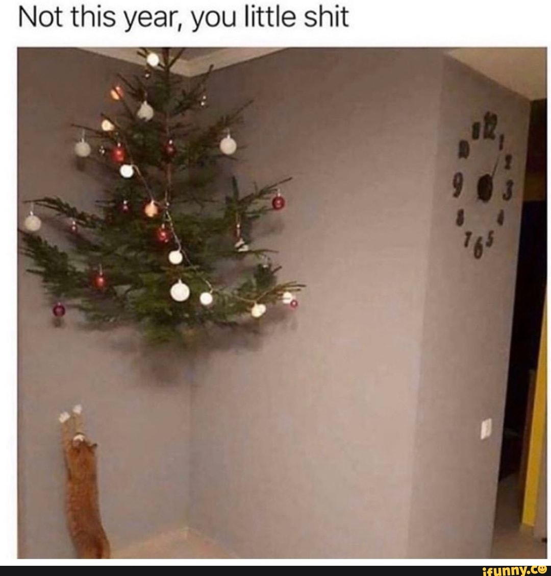 Not This Year You Little Shit Ifunny