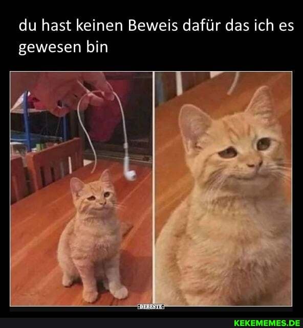 du hast keinen Beweis dafür das ich es gewesen bin