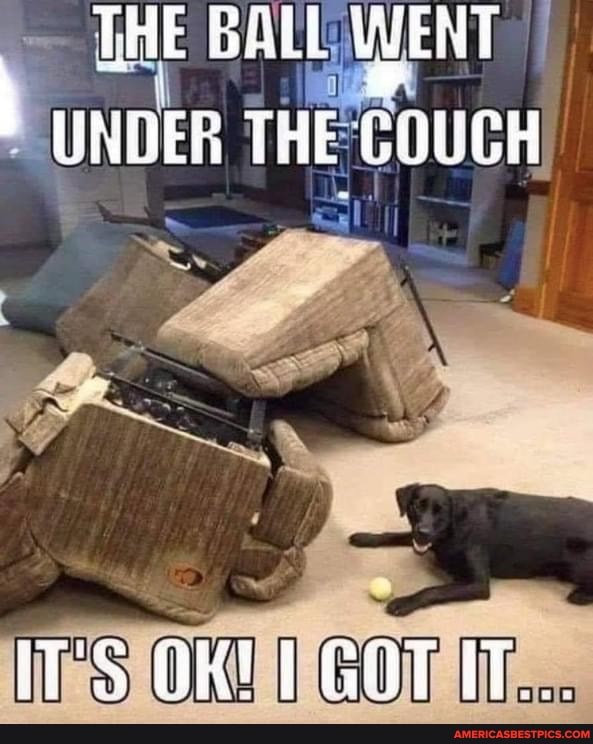 - THE BALL WENT te
UNDER THE COUCH
ITS OMI