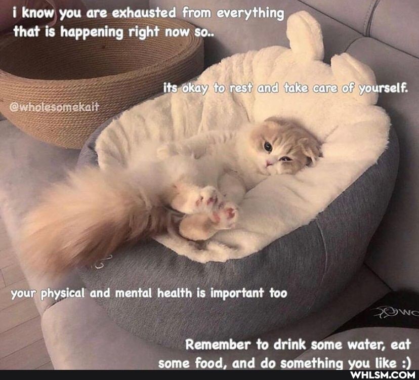 i Know you are exhausted from everything that is happening right now so..
ff
its okay to rest and take care of yourself.
your physical and mental health is important too
Remember to drink some water, eat