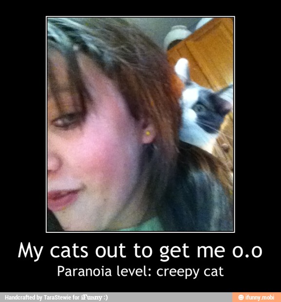 My cats out to get me 0.0
Paranoia level: creepy cat - My cats out to get me o.o
Paranoia level: creepy cat