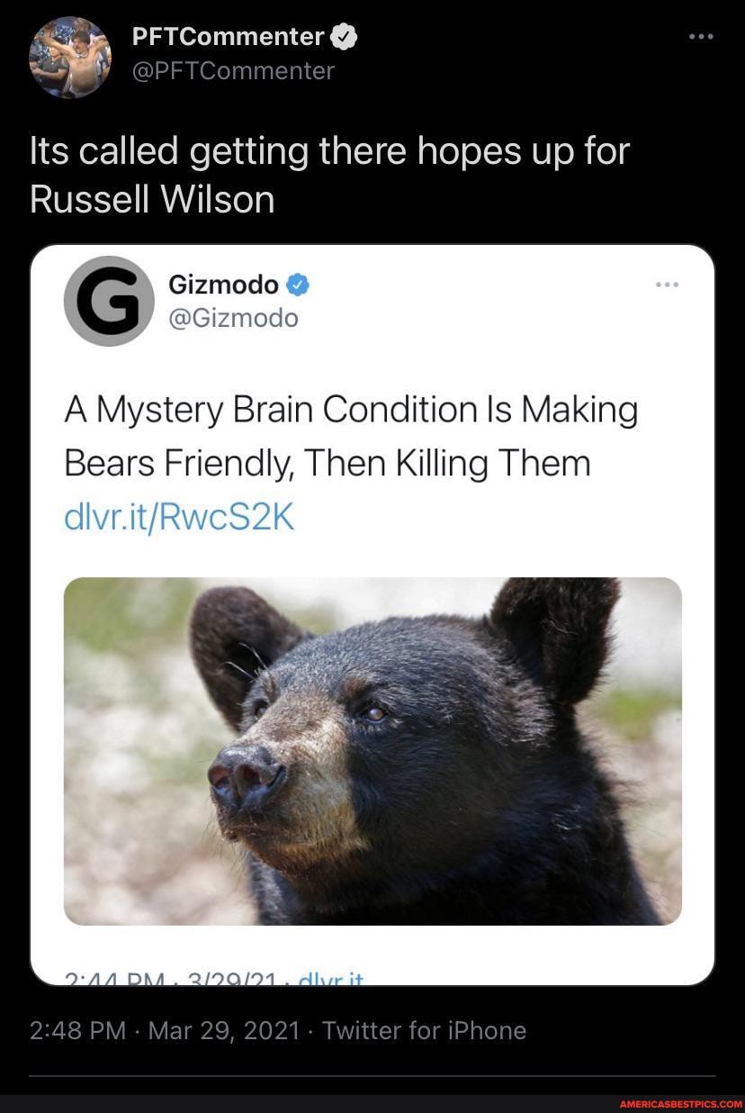PFTCommenter
ts called getting there hopes up for
Russell Wilson
Gizmodo @Gizmodo
A Mystery Brain Condition Is Making
Bears Friendly, Then Killing Them
2'48 PM - Mar 29, 2021- Twitter for iPhone
