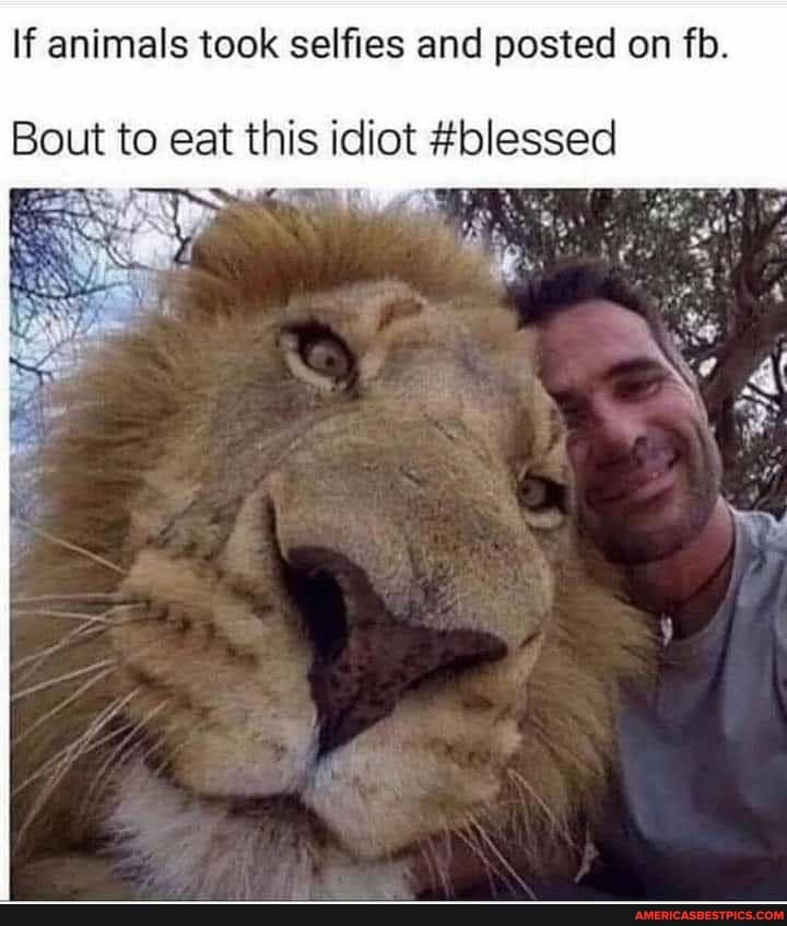 If animals took selfies and posted on fib.
Bout to eat this idiot #blessed