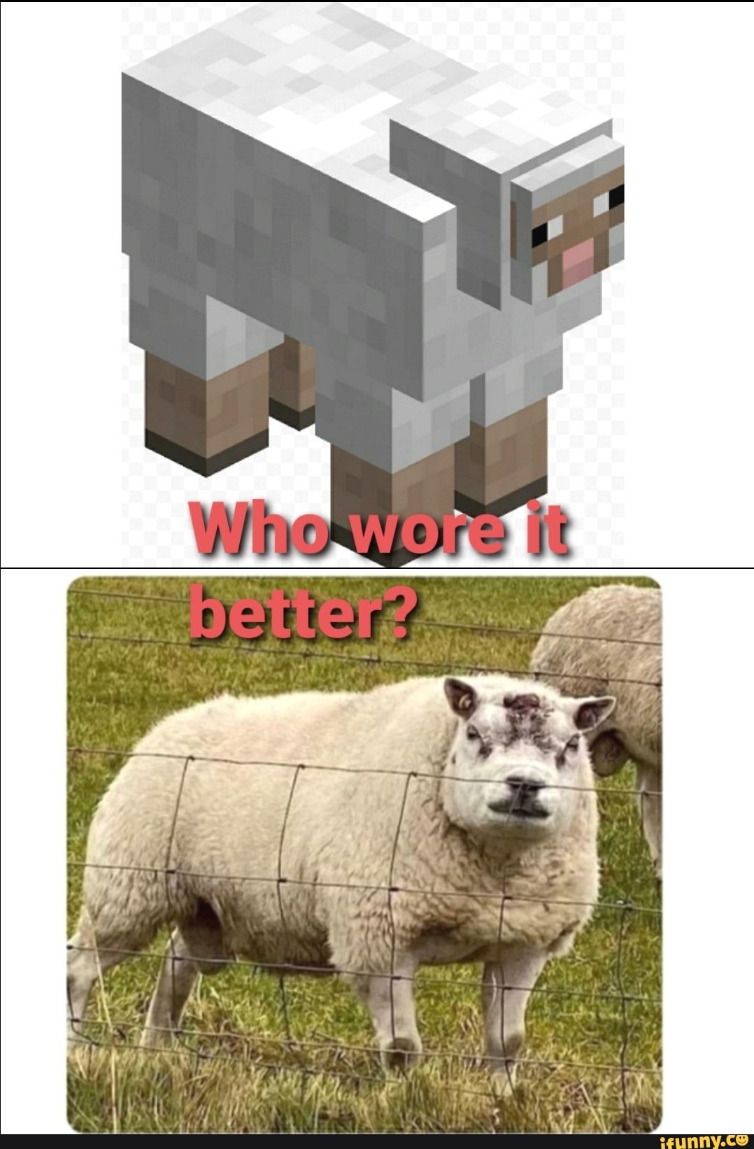 Minecraftsheep memes. Best Collection of funny Minecraftsheep pictures ...