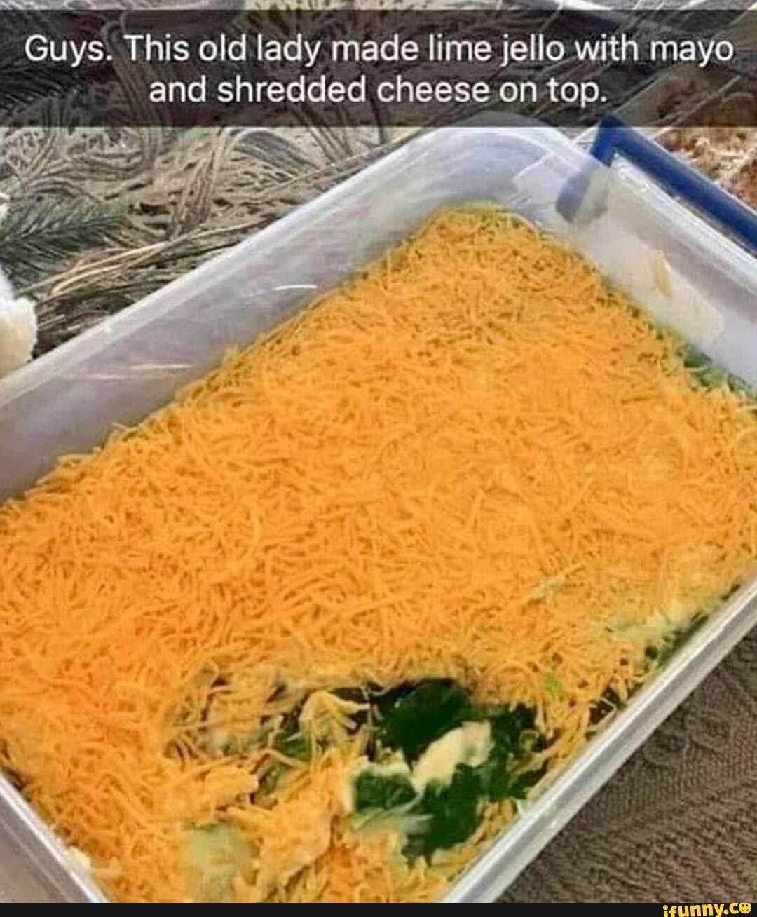 Guys. This old lady made lime jello with mayo and shredded cheese on top. iFunny