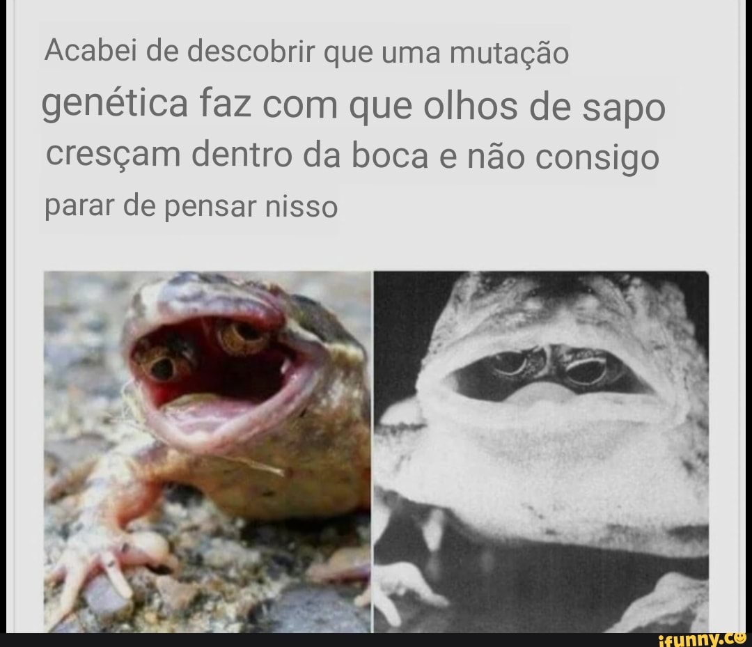 Acabei de descobrir que uma mutação genética faz com que olhos de sapo cresçam dentro da boca e não consigo
parar de pensar nisso